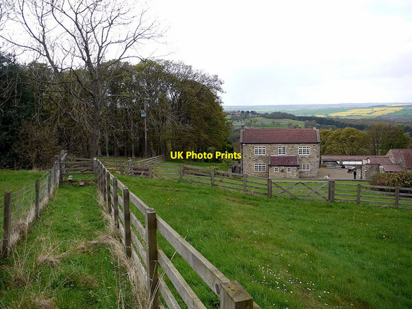Photo 6"x4" Public footpath above North View Prudhoe c2012