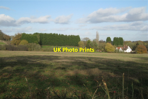 Photo 6"x4" Privacy by Leyland Blunt's Green c2011