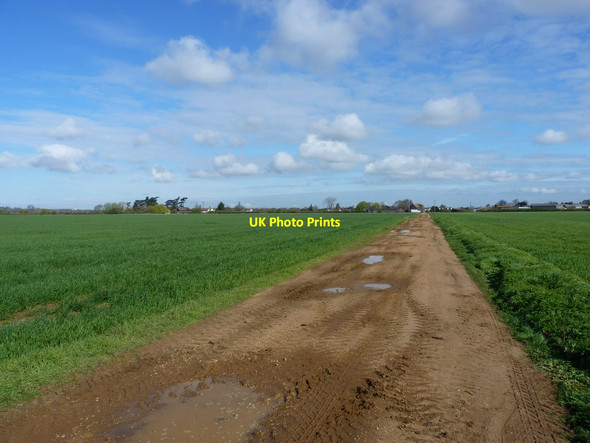 Photo 6"x4" A farm track into Broom Biggleswade c2012