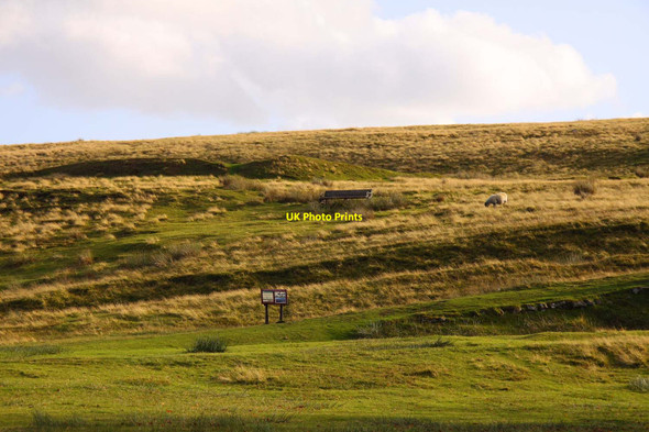 Photo 6"x4" Moss Rigg south of Goathland Goathland c2011