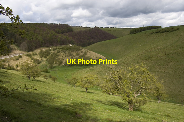 Photo 6"x4" Deep Dale, near Manna Green Bishop Wilton c2012