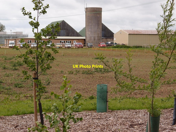 Photo 6"x4" Park Farm Histon c2012