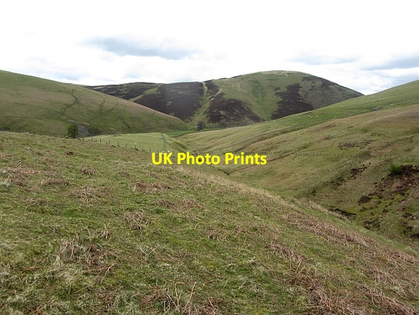 Photo 6"x4" Rough grazing, Cow Gill Coulter c2012