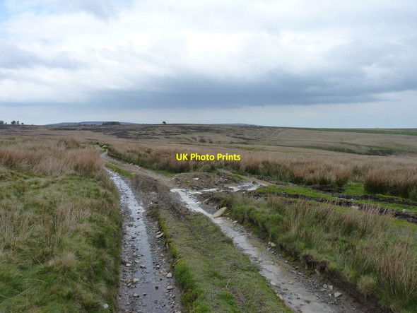Photo 6"x4" Along the track towards Rhŷd Caledwynt Tregeiriog\/SJ1733 c2012