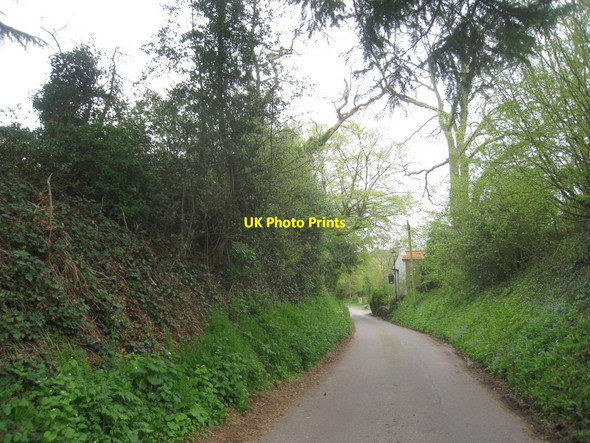 Photo 6"x4" The road into Maplebeck Maplebeck c2012