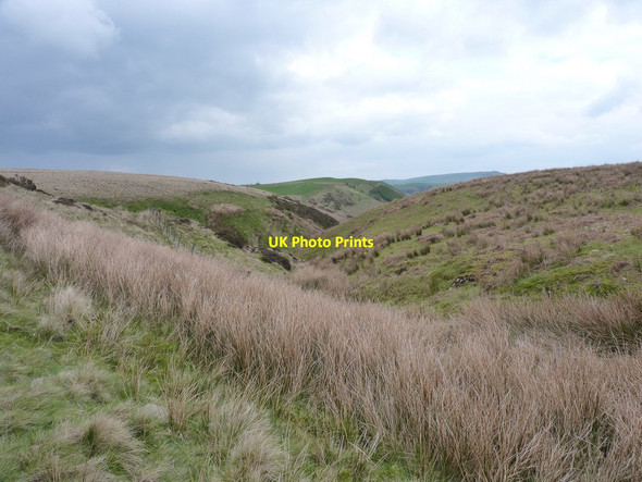 Photo 6"x4" The valley of the Nant Caledwynt Tregeiriog\/SJ1733 c2012
