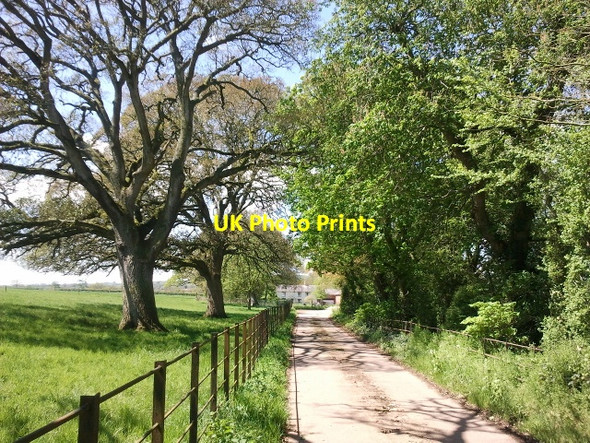 Photo 6"x4" Driveway to Greenend Farm Langford Green\/ST0302 c2012