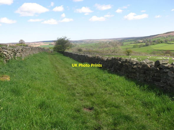 Photo 6"x4" Footpath north of West Cliff Westerdale\/NZ6605 c2012