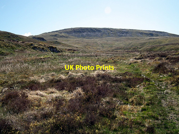 Photo 6"x4" On the Maesnant path to Plynlimon Pumlumon Fach c2012