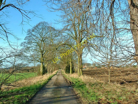 Photo 6"x4" Drax, Pear Tree Avenue Barmby on the Marsh c2006