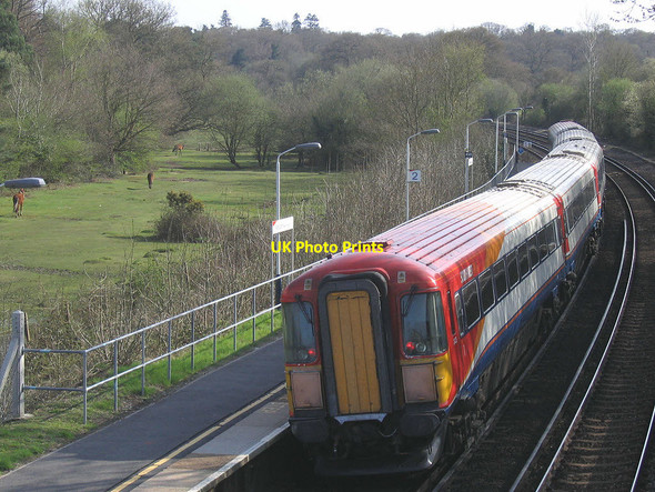 Photo 6"x4" Ashurst station Ashurst\/SU3310 c2006