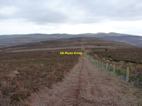 Photo 6"x4" Looking down Moel Fferna Llidiart-y-Parc c2012