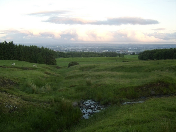Photo 6"x4" Small burn on Cochno Hill Duntocher c2008