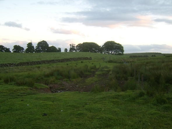 Photo 6"x4" Small burn to the west of Auchenduich Wood Bearsden c2008
