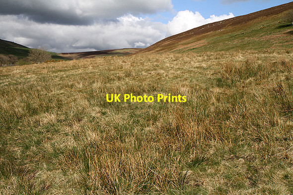 Photo 6"x4" Rough grazing at Halkburn Halkburn c2012