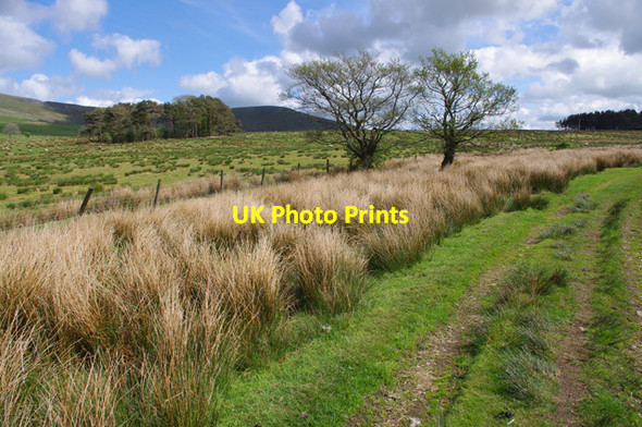 Photo 6"x4" Track near Admarsh Barn Farm Bleasdale c2012
