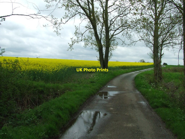 Photo 6"x4" Way Bank Lane Boyton End\/TL7144 c2012