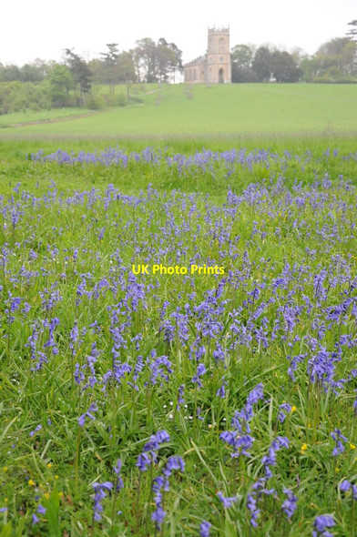 Photo 6"x4" Bluebells and Croome church High Green\/SO8745 c2012
