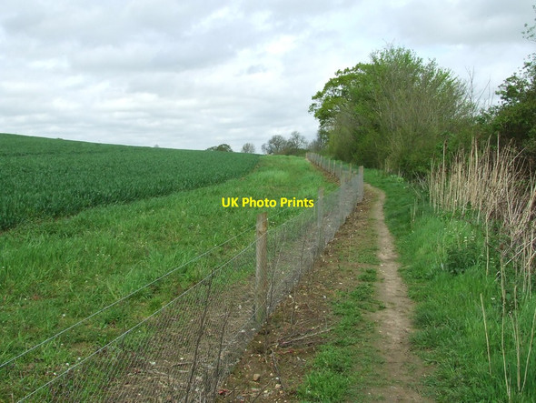 Photo 6"x4" Stour Valley Path Boyton End\/TL7144 c2012