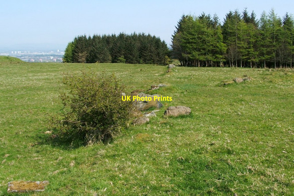 Photo 6"x4" Old field boundary Johnstone\/NS4362 c2012 P1