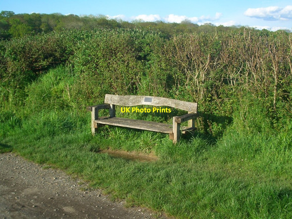 Photo 6"x4" Bench on Downs Link Littleworth\/TQ1920 c2012