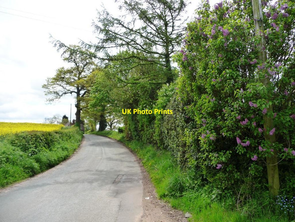 Photo 6"x4" Sudlow Lane at Sudlow Farm Knutsford c2012