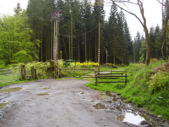 Photo 6"x4" Core Copse, East Hill Strips Ottery St Mary c2012