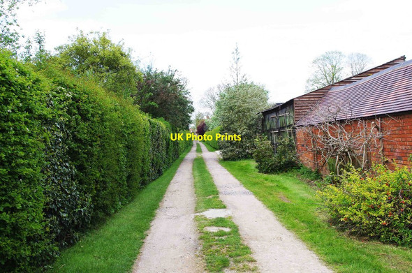 Photo 6"x4" Mill Lane, Stadhampton Brookhampton\/SU6098 c2012