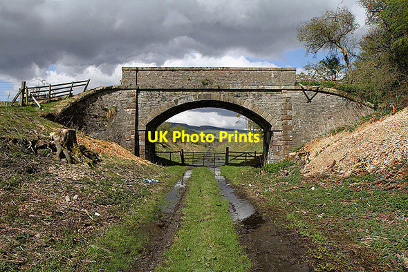 Photo 6"x4" A bridge over the former Waverley Railway Line Halkburn c2012