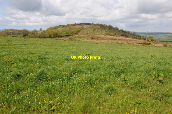 Photo 6"x4" Farmland above Bethlehem Pontbren Araeth c2012