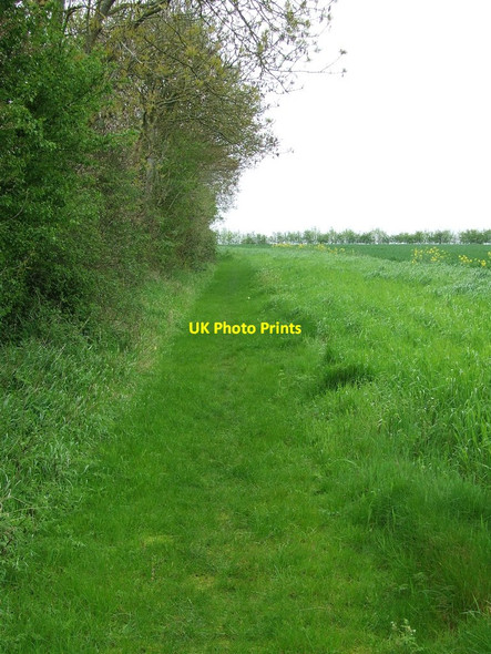 Photo 6"x4" Green Footpath Mickfield c2012