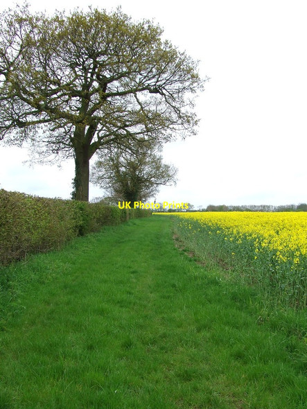 Photo 6"x4" Winston Head Lane East End\/TM1559 c2012