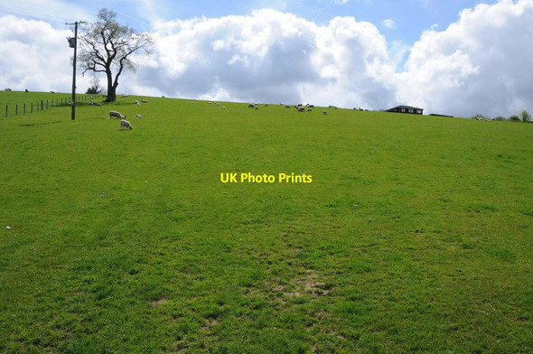 Photo 6"x4" Field near Lwynmendy Isaf Pontbren Araeth c2012
