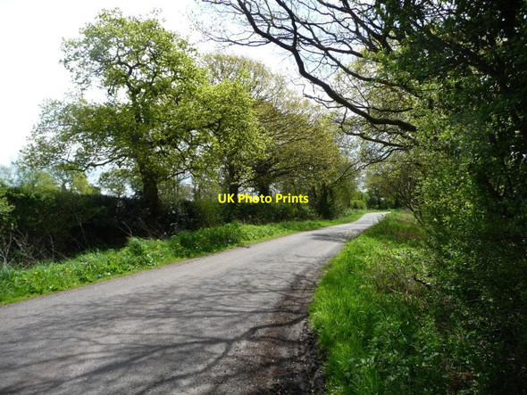 Photo 6"x4" Back Lane Swan Green\/SJ7373 c2012