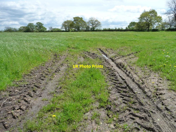Photo 6"x4" Tyre tracks in a field entrance Swan Green\/SJ7373 c2012