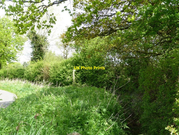 Photo 6"x4" Signpost for a footpath to the M6 Swan Green\/SJ7373 c2012