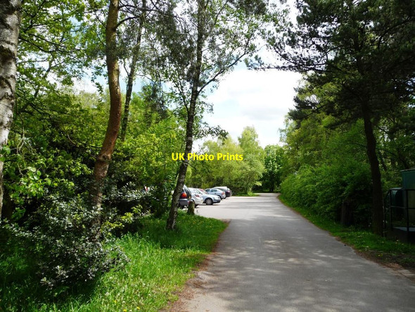 Photo 6"x4" Southern car park, Shakerley Mere Rudheath Woods c2012
