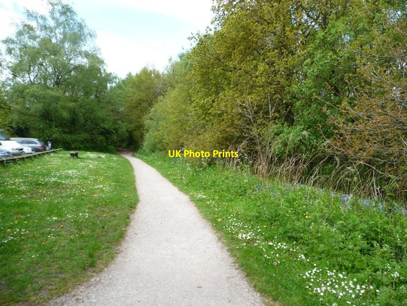 Photo 6"x4" Footpath alongside the woodland, Shakerley Mere Rudheath Woods c2012