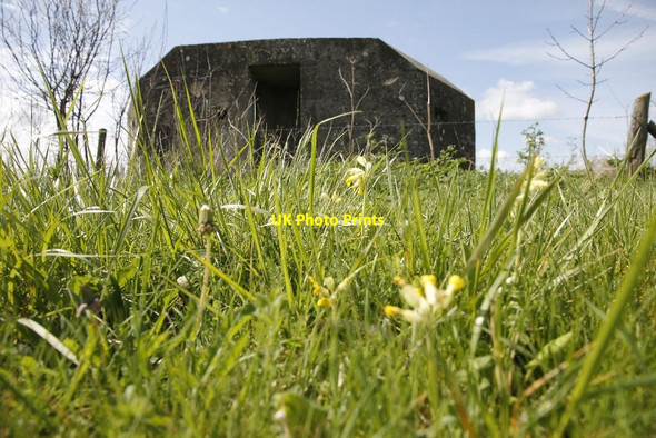 Photo 6"x4" Cowslips and grass Radcot c2012