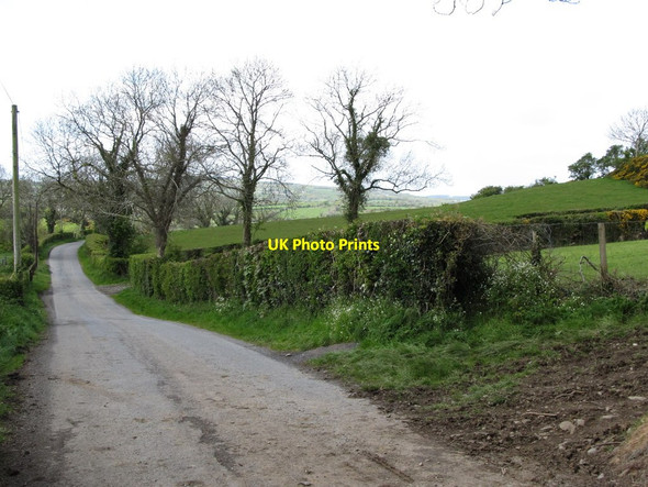 Photo 6"x4" View westwards along Drumharriff Road Kingsmills c2012