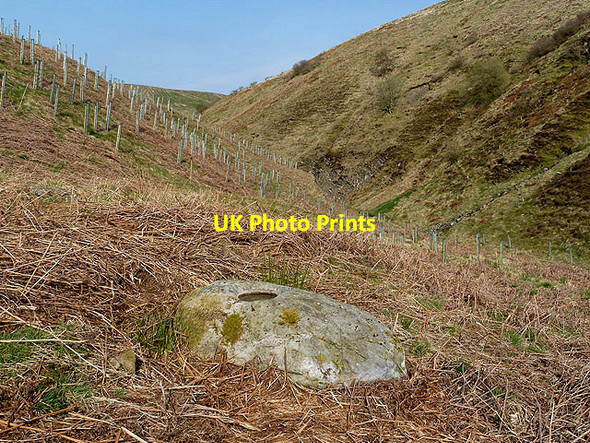 Photo 6"x4" The Knocking Stone Saughtree c2012