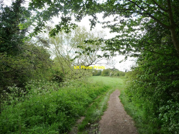 Photo 6"x4" Footpath alongside Hatchford Brook Sheldon\/SP1584 c2012