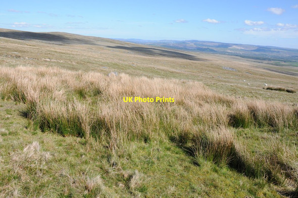 Photo 6"x4" Slopes of Garreg Lwyd Rhosaman c2012