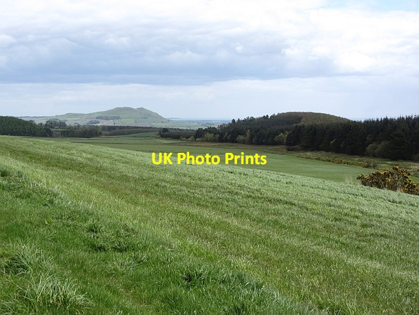Photo 6"x4" Grassland, Clatto Baintown c2012