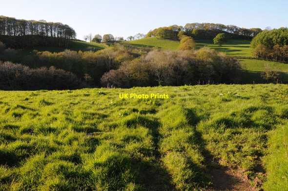 Photo 6"x4" Farmland near Pwll-calch Myrtle Hill\/SN7630 c2012