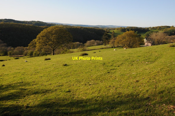 Photo 6"x4" Farmland in Cwm Taldrum Talsarn\/SN7726 c2012