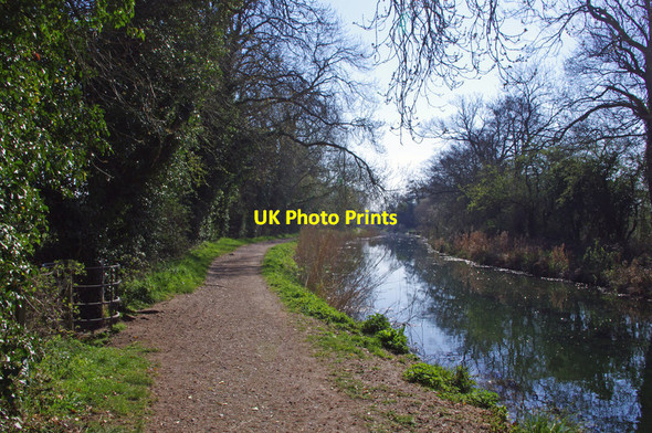 Photo 6"x4" North Warnborough - Basingstoke Canal Greywell c2012 P1