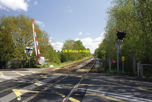 Photo 6"x4" Railway from the crossing Chilworth\/TQ0247 c2012