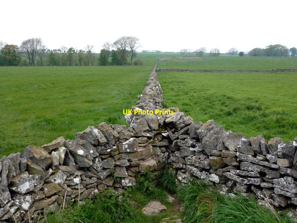 Photo 6"x4" Y-junction drystone walls Bakewell c2012