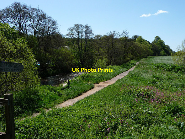Photo 6"x4" Public Footpath North Star c2012